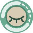 Decentraleyes 로고
